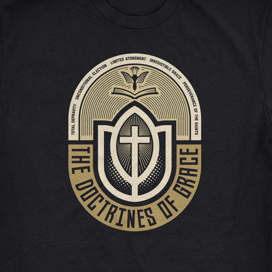DOCTRINES OF GRACE TEE - BLACK