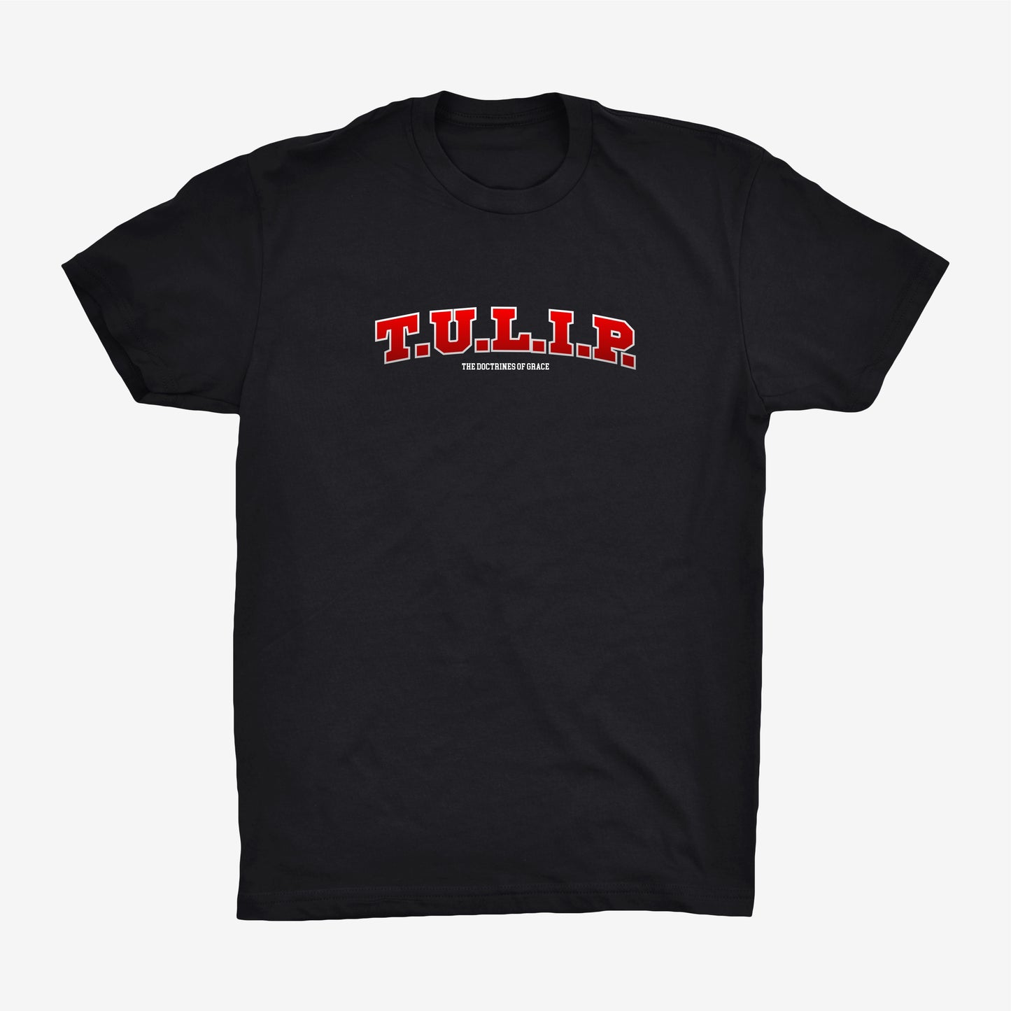 TULIP VARSITY TEE