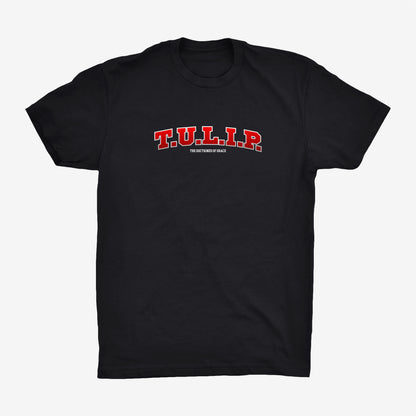 TULIP VARSITY TEE