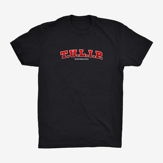 TULIP VARSITY TEE